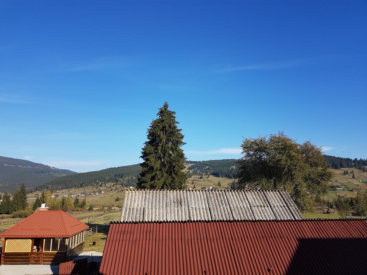 Casa De Oaspeti La Bilbor Экстерьер фото